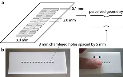Geometrie de l&rsquo;illusion de l&rsquo;arete de poisson et variante minimaliste